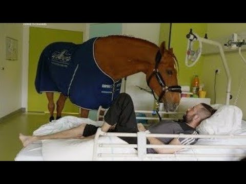 🐴 PEYO IL CAVALLO TERAPEUTA