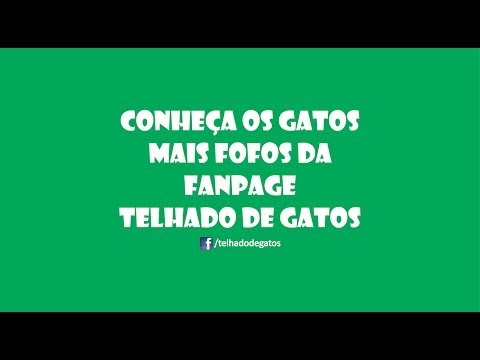 Fotos da Semana - Facebook Telhado de Gatos