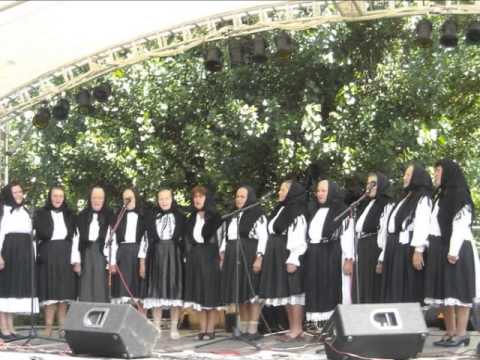 Satul meu natal - Aluniș, jud. Sălaj - Digitales