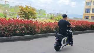 Citycoco 1500W Motor 2 Wheel High Speed Electric Motorcycle 20Ah Battery