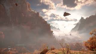 🎵 Ambient Music(Horizon Forbidden West)