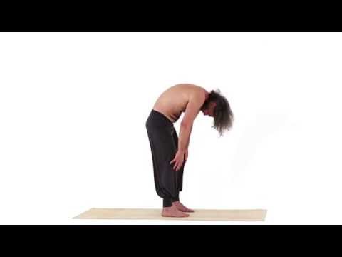 Elefant Haltung, dynamische Sequenz - Gaja Asana