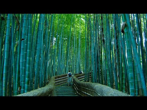 Top 10 Attractions In Quito - Best Places To Visit In Quito