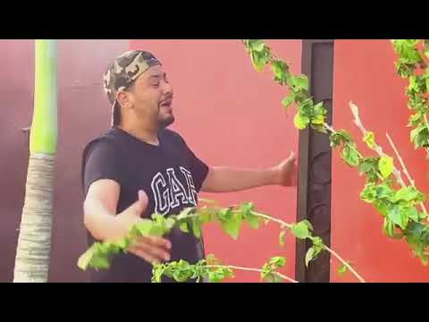 Agalawal & Oualas.  affaire de  statut