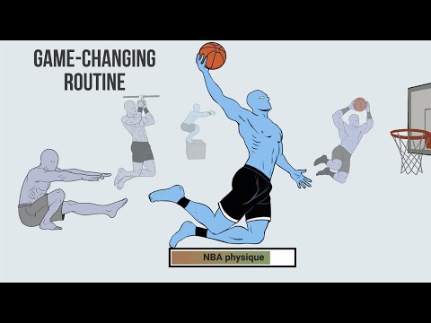 The physique of a basketball player