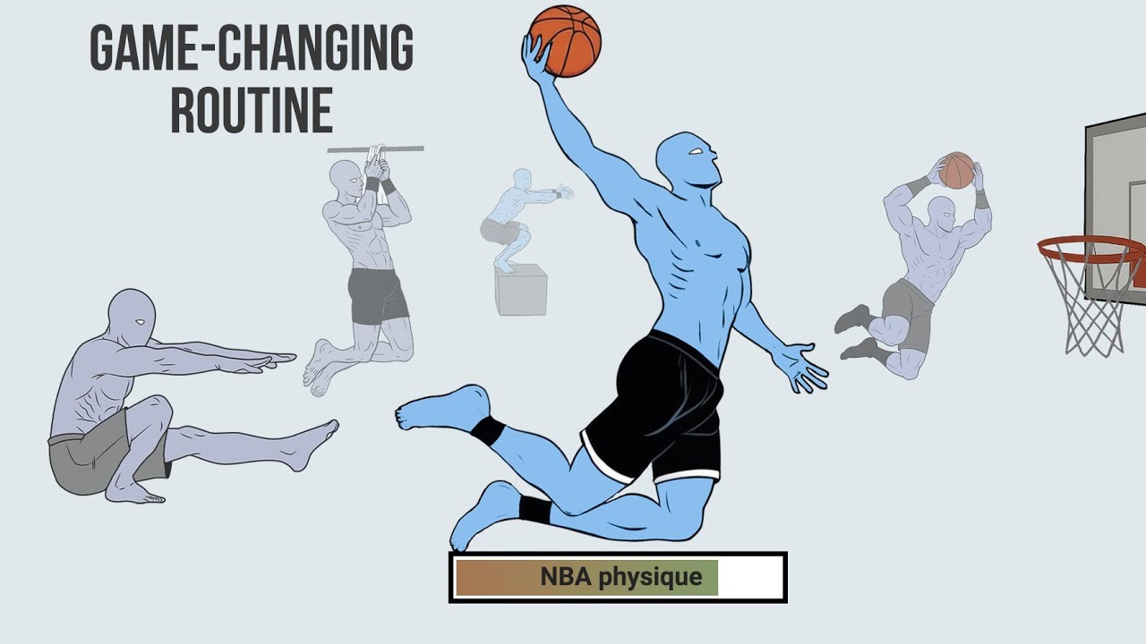 The physique of a basketball player