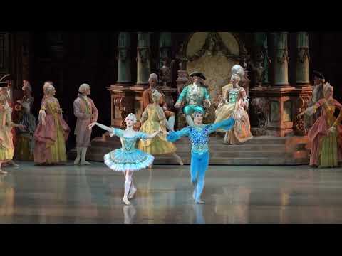 @inesmcintosh5280 & ‪@ShaleDancer in Blue Bird pas de deux