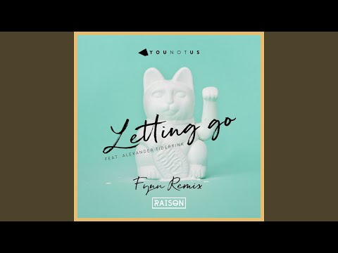 Letting Go (Fynn Remix)