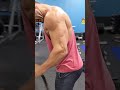 arm day tricep push downs