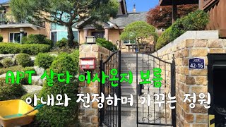 APT 살다 이사온지 보름, 아내와 자성으로 소나무 전정을 멋있게 해본 우아한 정원