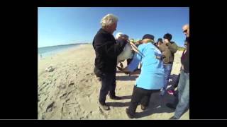 SeaBird Rescue at Perth Boat School