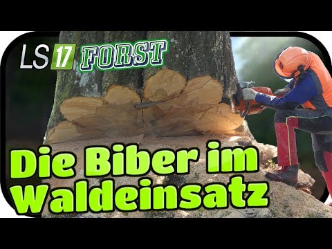 Die Biber im Waldeinsatz - LS17 FORST KYFFHÄUSER MODDED #098 ★ Lets Play Farming Simulator