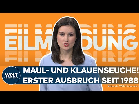 Video Thumbnail: BRANDENBURG: Erster Maul- und Klauenseuche-Ausbruch in Deutschland seit 1988 | EILMELDUNG