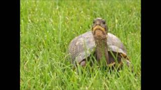 running from the rain