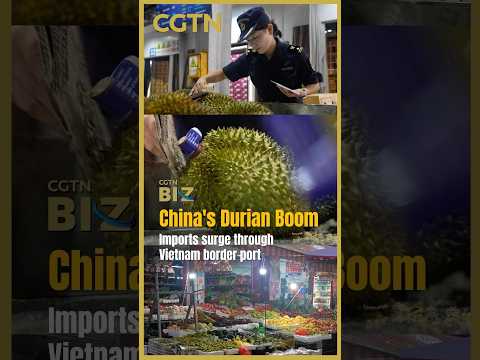 Inside China's busiest fruit gateway on the Vietnam border