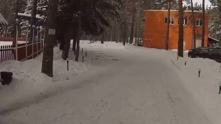 Базы отдыха в барнауле лесные дали