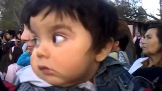 CHIQUITOS LOCOS Niños Bebe Se Asusta