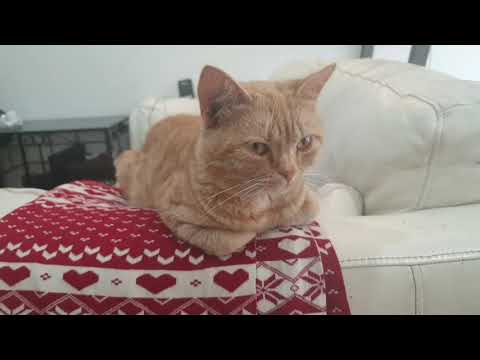 I'm very #upset | because my #friend left me. 🥺🥺