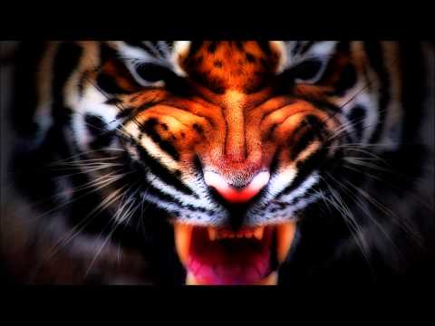 Max Boogie Overdrive- I Smell Blood (Metal Cover) ATHLEAN-X full intro