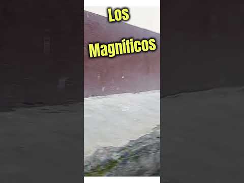 Los Magníficos en Contadero - Nariño