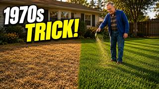 The 1970s Trick That Makes Grass Grow Twice As Fast