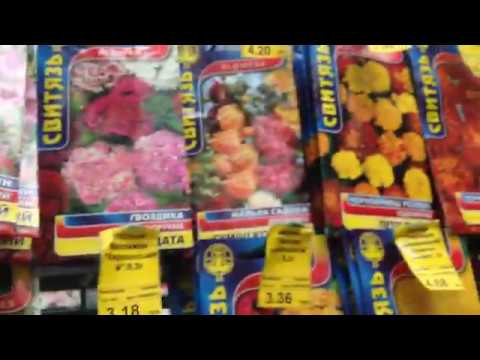 После выборов поехали в торговый центр. Мои покупки.