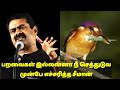 பறவைகள் இல்லன்னா நீ செத்துடுவ முன்பே