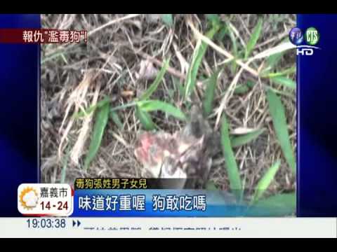 家兔遭野狗咬死 男"毒排骨"復仇