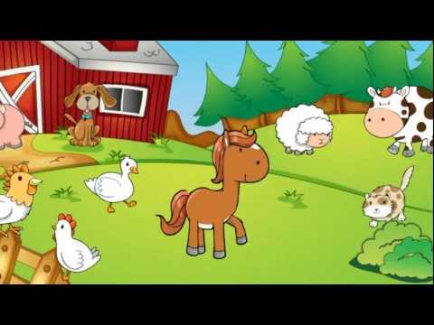 Animal Sounds Video