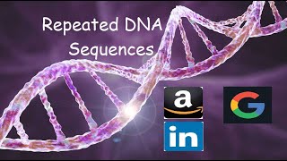 YouTube video 'Repeated DNA Sequences - LeetCode 187 - Python'
