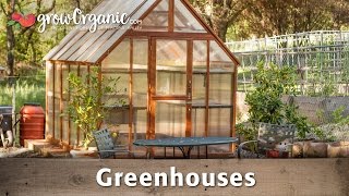 The Beginner&#39;s Guide to Greenhouses