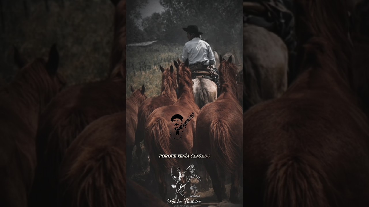 EL PAYADOR  NACHO BESTEIRO #payadores #argentina #arg #argent #campo #campero #uruguay #brasil #amor