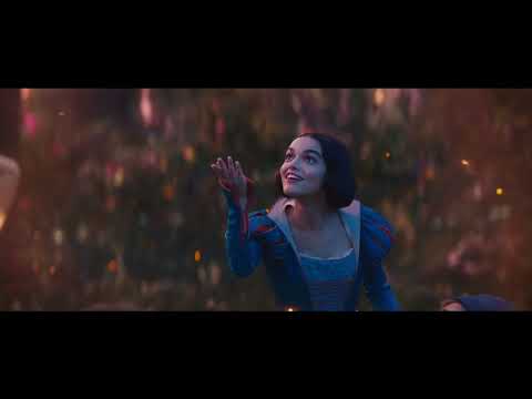 Wonder