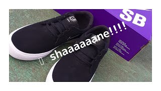 新しいスケシューでゆるくスケボー！！
