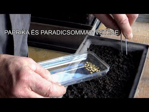 , title : 'Paprika és paradicsommag vetése Goldperger Andrással'