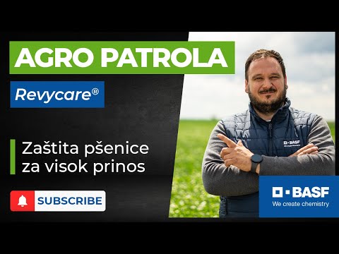 BASF Agro Patrola 2023 | Revycare® - Zaštita pšenice za visok prinos