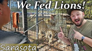 We fed Lions & Tigers & Bears, Oh My! At Big Cat Habitat