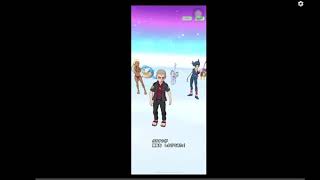 ゆるっと　ポケモンはじめるよー　本編　第十五章