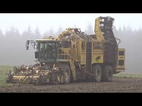 Die letzten Rüben/Ernte 2016   1/4