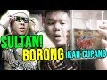 SULTAN BORONG IKAN CUPANG BIAR TRENDING 1 !!! SULTAN BORONG IKAN CUPANG BIAR TRENDING 1 !!!