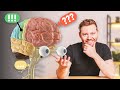 Our Brain Simply Explained English Subtitles