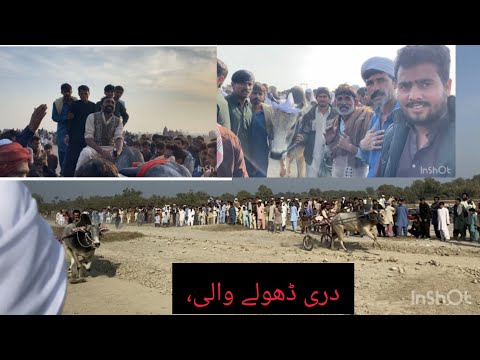 Now bull rase December 26, 2025دری ڈھولے والی، ضلع ڈیجی خان بمقابلہ سدابہار گروپ