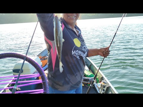 #pesca com peixe e frito Rio Paraná Rosana são Paulo primeira pesca da Piracema 