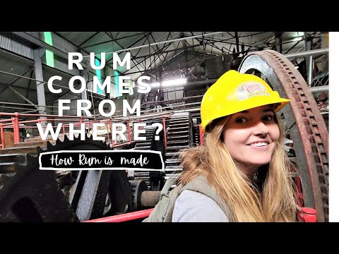 Rum comes from here? | How Caribbean Rum is Made