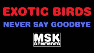 Exotic Birds - Never Say Goodbye 1984 Saturn Records