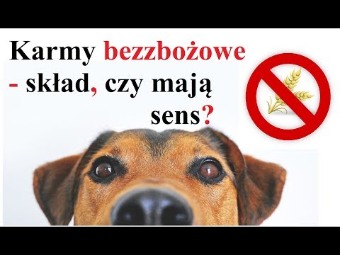 Karma BEZ ZBOŻOWA dla psów - skład, czy to ma sens