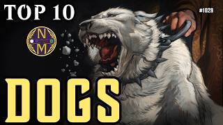 MTG TOP 10: Dogs | Magic: the Gathering