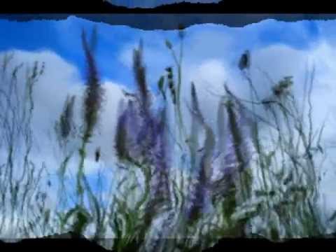 PAVOL HAMMEL   Lúčny dom