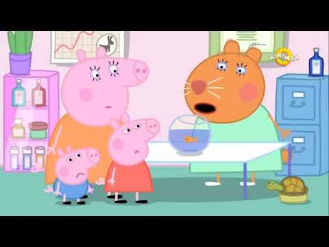 Purcelusa Peppa S3E23 in romana Cartoon KIDS Pestisorul Aura