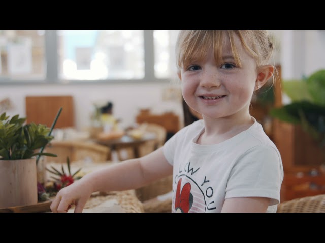 Junior Einsteins - Dunmore, NSW